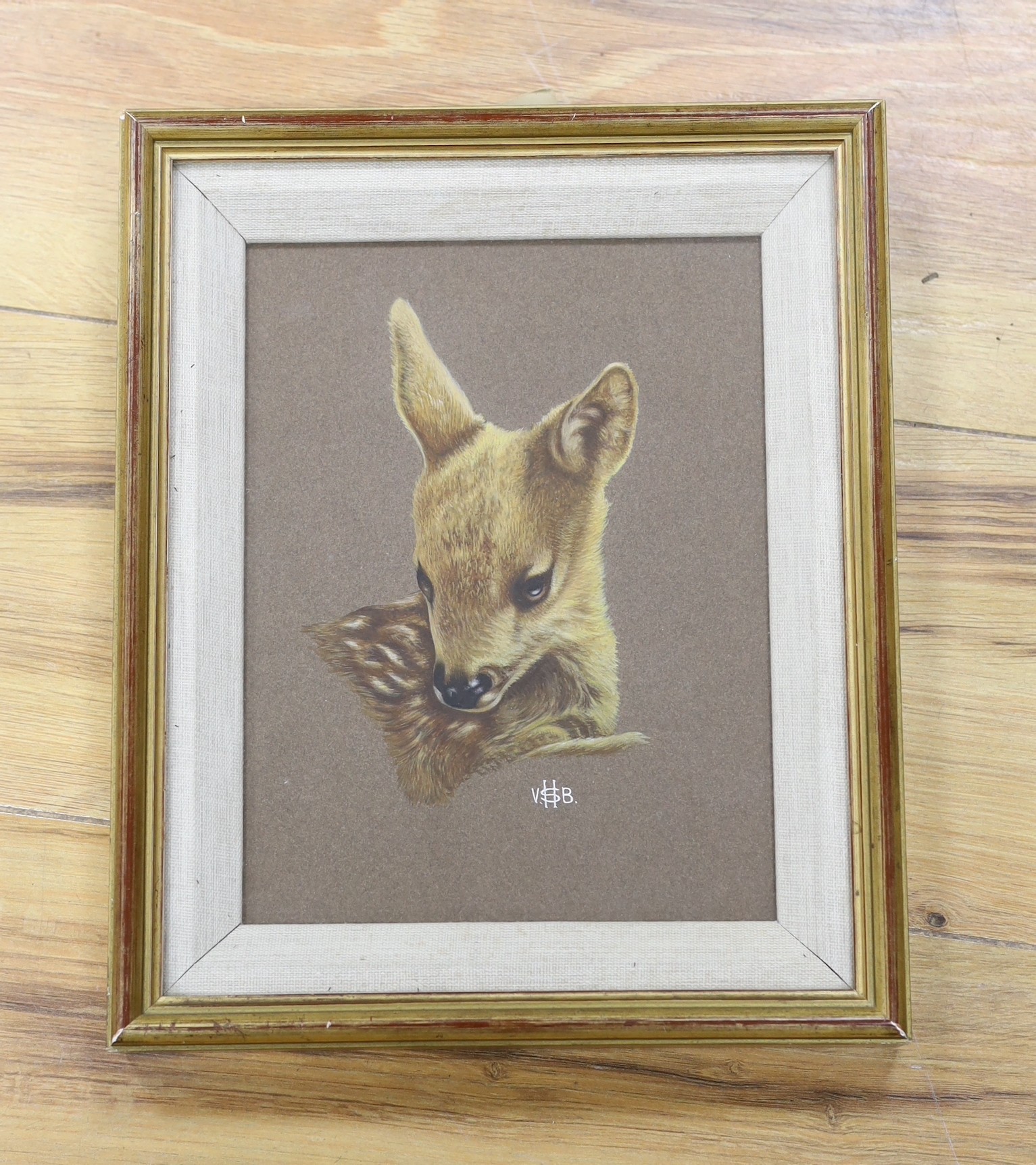 Victor Hugh Seamark Burroughs (1900-1979), gouache, Head of fallow deer fawn, monogrammed, Royal Academy Exhibition label verso, exhibited 1972, 20 x 15cm